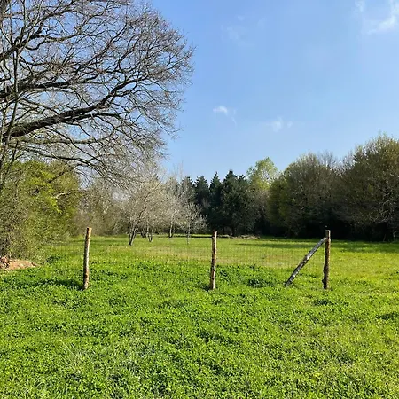 Casa de Férias Cosy Au Calme Avec Grand Jardin, Proche Du Mans - Parking Prive, Wifi Fibre, Equipements Complets - Fr-1-410-392 *